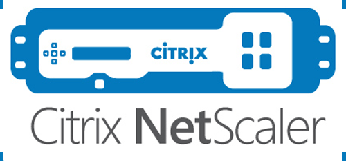 Deep Dive in to Citrix ADC Remote Code Execution, CVE-2019-19781
